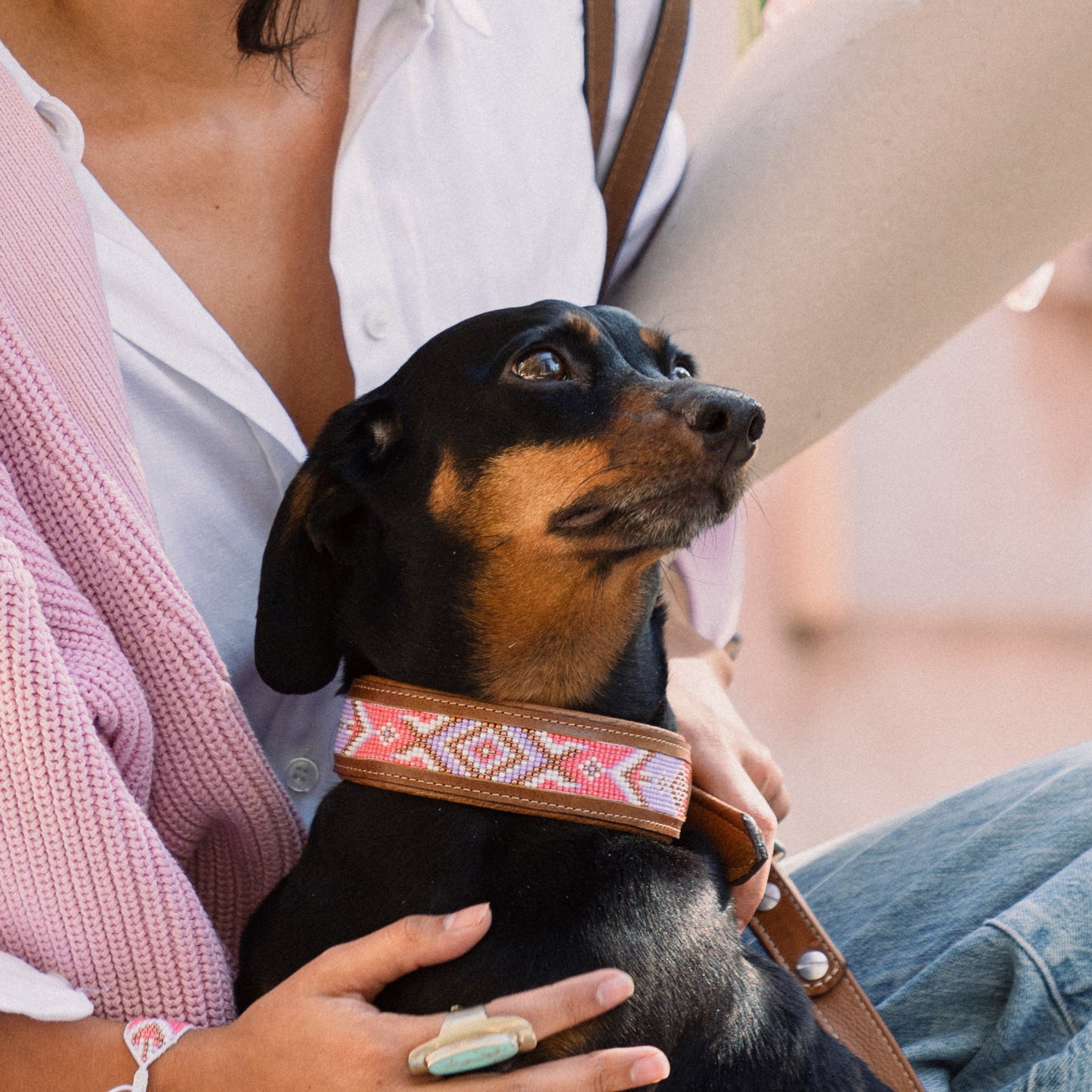 Kinakú Dog Collar JOYA