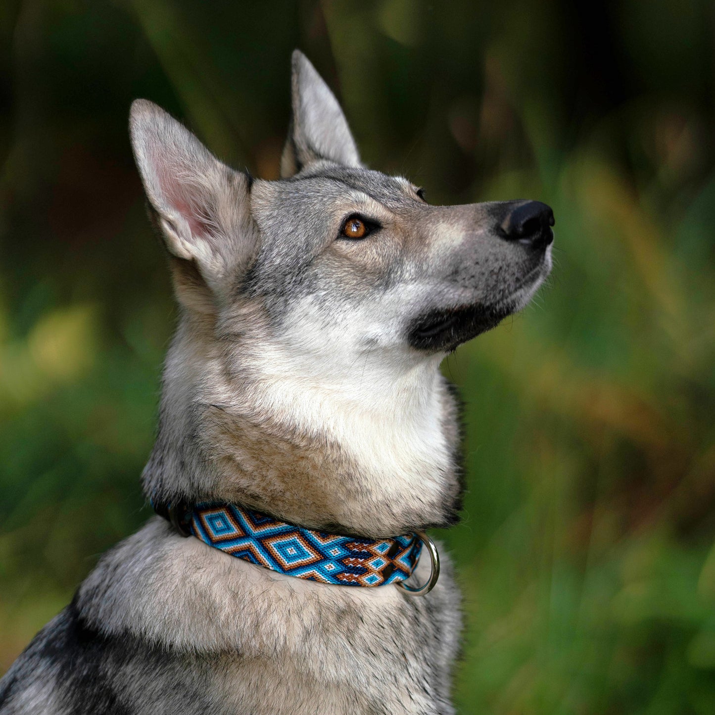 Kinakú Dog Collar Nayarit
