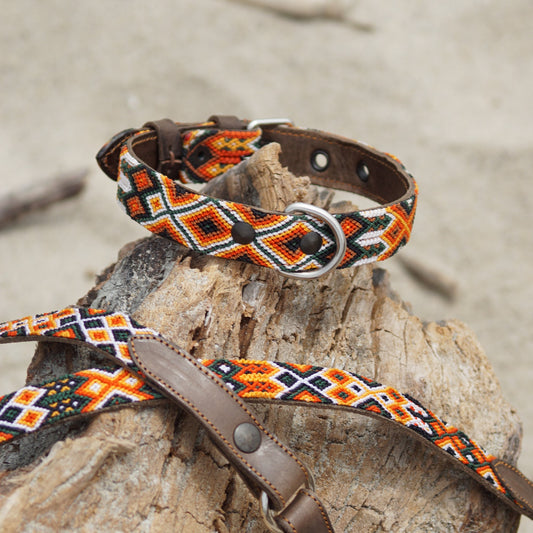 Kinakú Dog Collar Bacalar