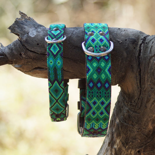 Kinakú Dog Collar Becan