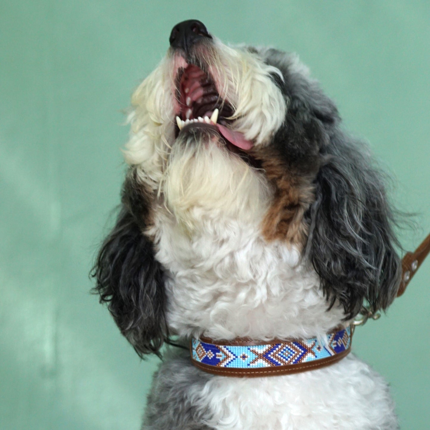 Kinakú Dog Collar TOPACIO