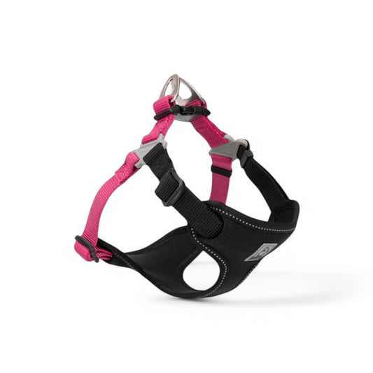 Hundegeschirr Truelove