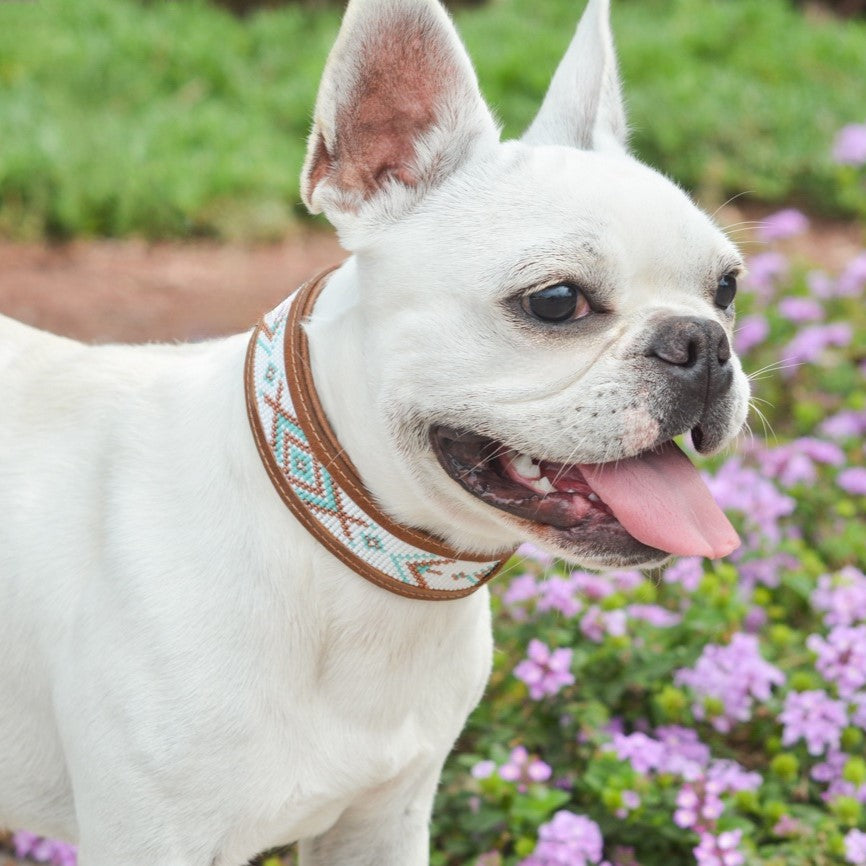 Kinakú Dog Collar CALAITA