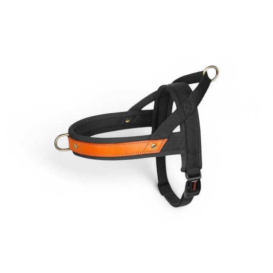 Hundegeschirr Walkies