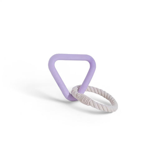 Hundespielzeug Triangle