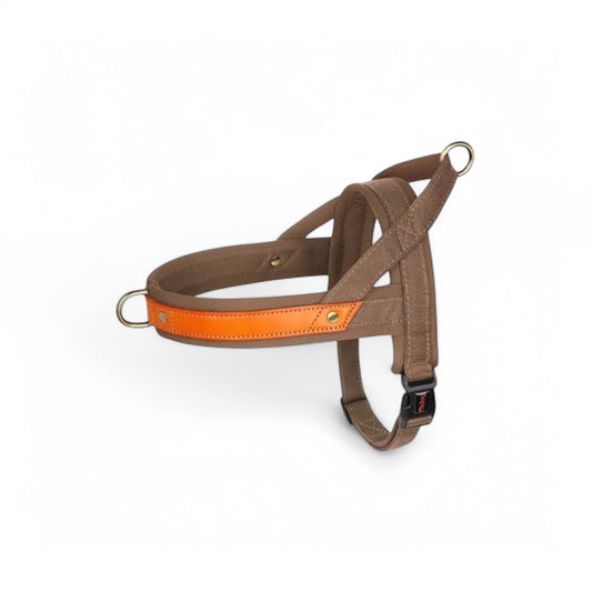 Hundegeschirr Walkies