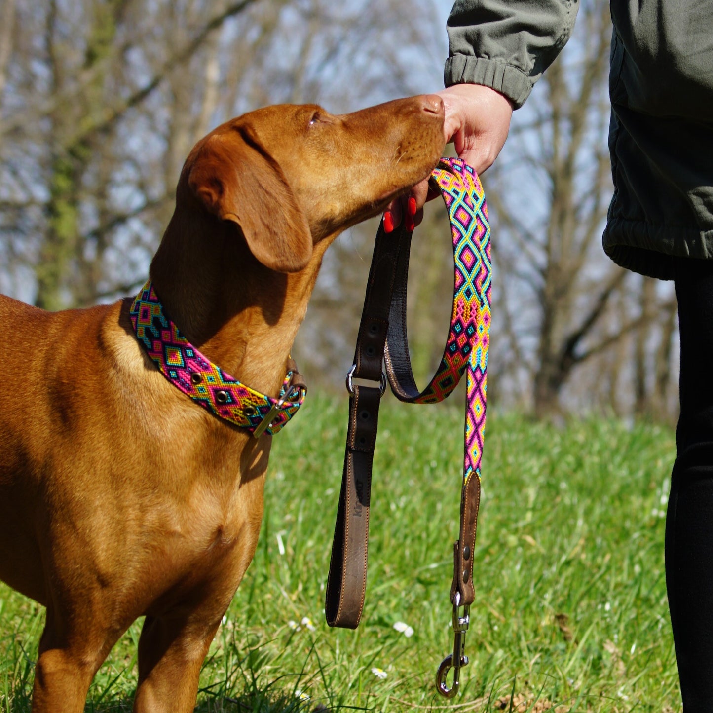 Kinakú Dog Collar Merida