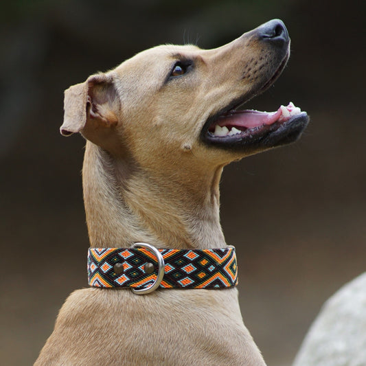 Kinakú Dog Collar Celestún
