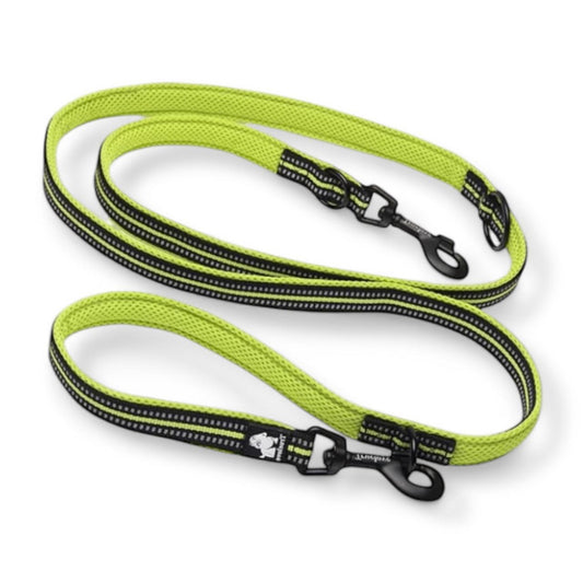 Hundeleine Multifunktional Truelove