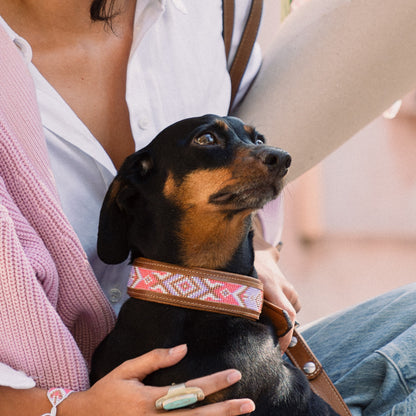Kinakú Dog Collar JOYA