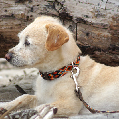 Kinakú Dog Collar Bacalar
