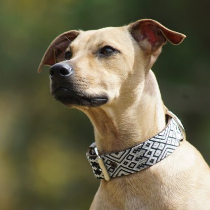 Kinakú Dog Collar Coba