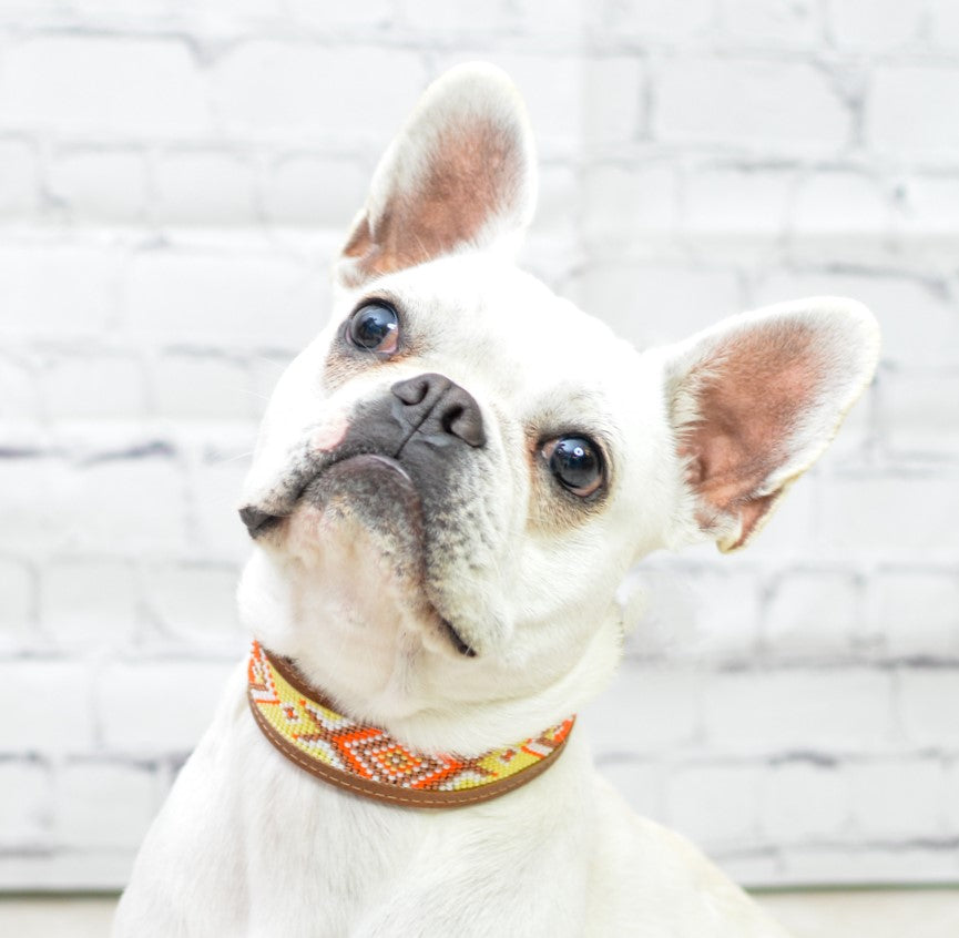 Kinakú Dog Collar AMBAR