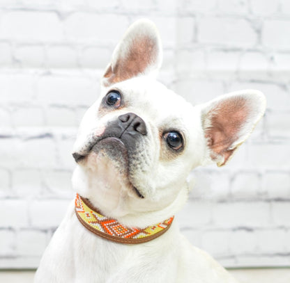 Kinakú Dog Collar AMBAR