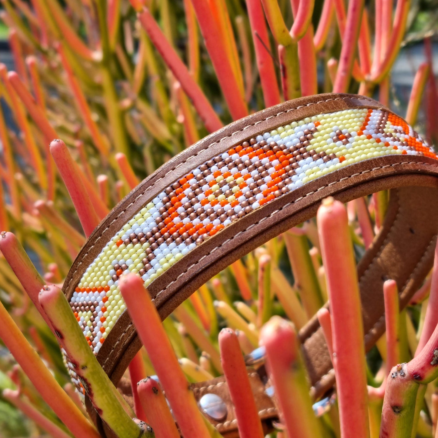 Kinakú Dog Collar AMBAR
