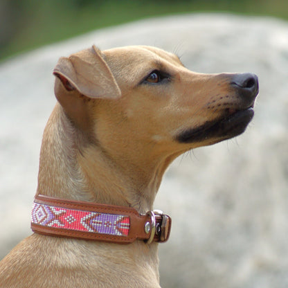 Kinakú Dog Collar JOYA