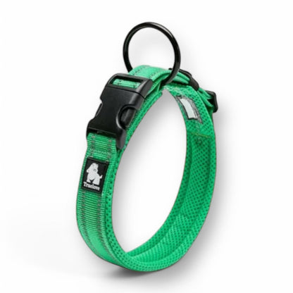 Hundehalsband Truelove